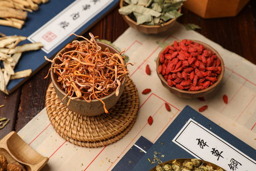 蟲草花與北蛹蟲草 中藥攝影的藝術與價值