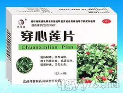 穿心蓮片 傳統中藥與現代中成藥的結合典范