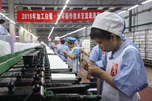 對手更是朋友 兩家化纖企業(yè)重啟同臺技術(shù)比武，以交流促發(fā)展